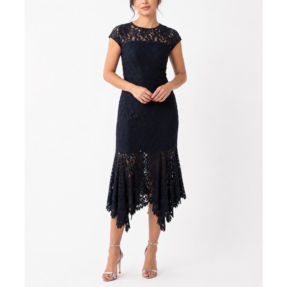 Banana Republic Navy Lace Dress Size 10 Midi Sheer Yoke Elegant